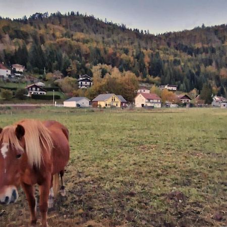Le Vivaldi, Au Coeur Du Massif Vosgien Avec Terrain De Petanque Villa Rochesson Kültér fotó