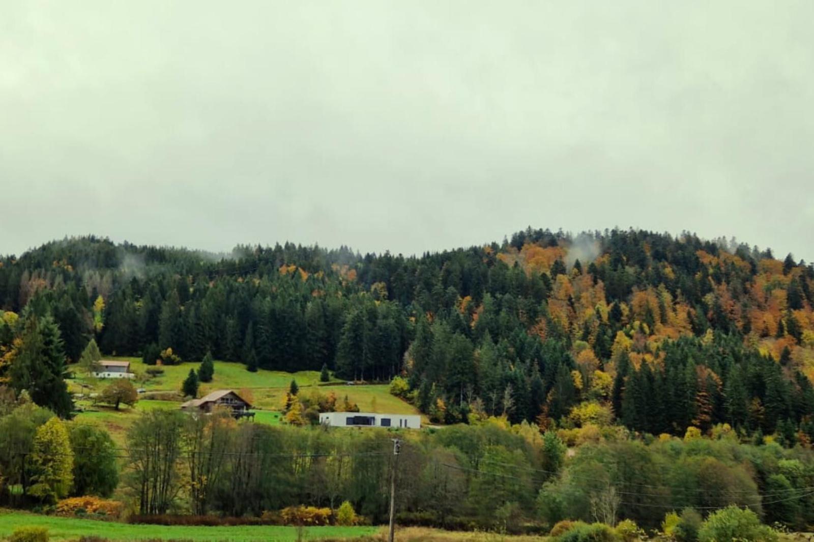 Le Vivaldi, Au Coeur Du Massif Vosgien Avec Terrain De Petanque Villa Rochesson Kültér fotó